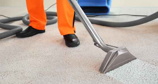 The Process of Professional Carpet Cleaning