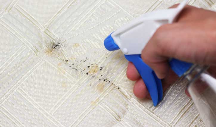 5 Reasons for a Bed Bug Infestation