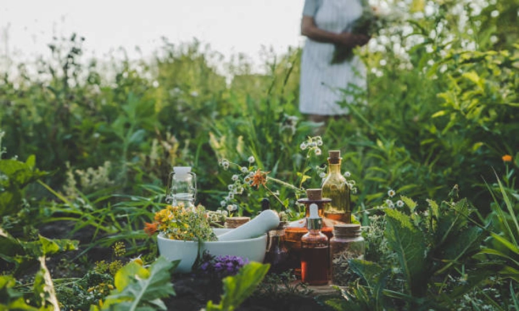 Smart Eater's Guide to Using Plant Protein Extracts in Every Meal
